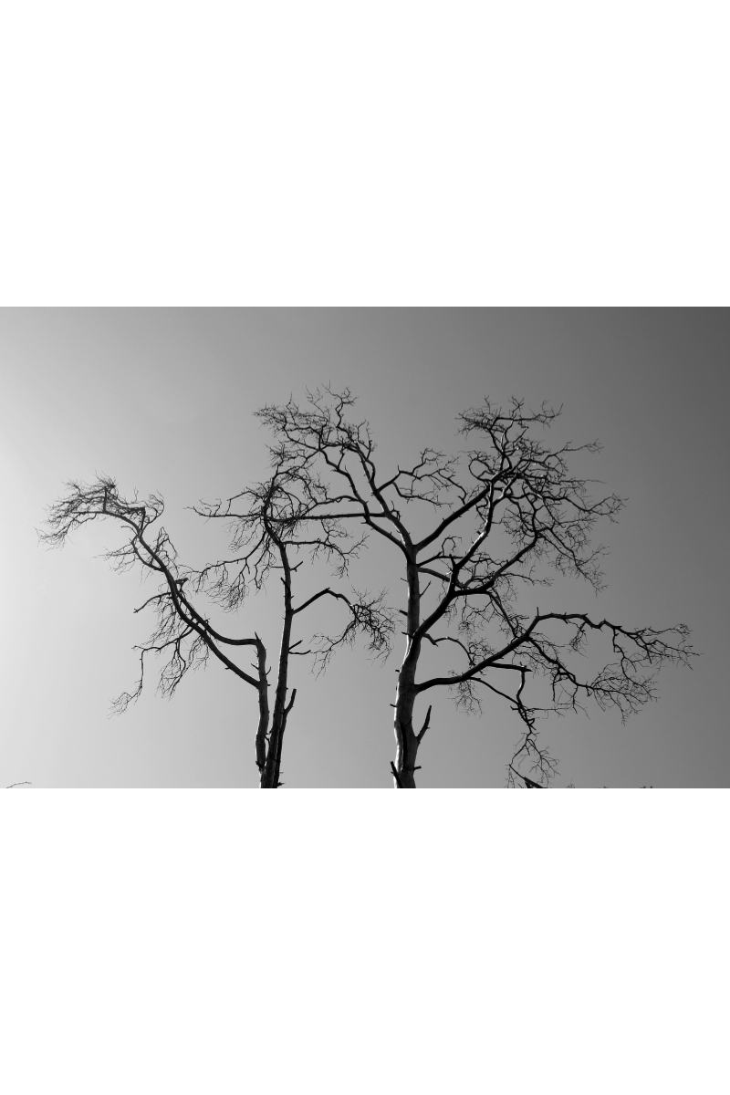 Nervous System Exhaustion